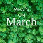 What's on March 2023